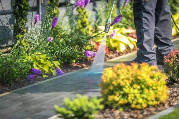 Best Parking Lot Cleaning in San Angelo, TX